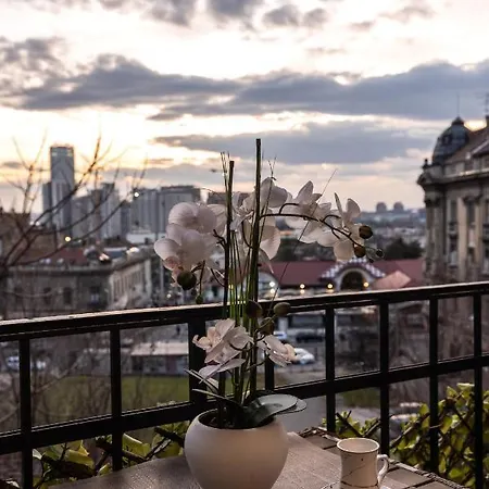 Max Luxury Apartments Belgrade Exterior photo